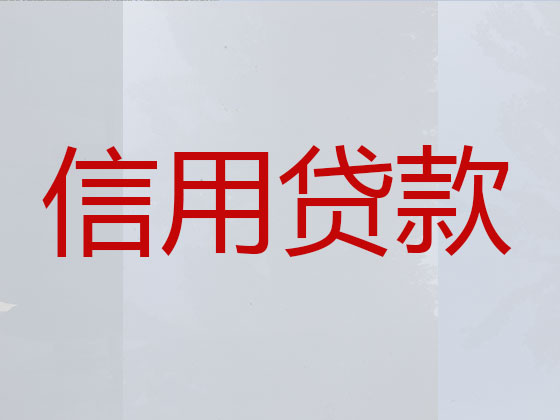 天津信用贷款-本地贷款公司